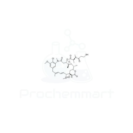 DM1 (Mertansine) | CAS 139504-50-0