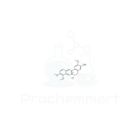 Jatrorrhizine Hydrochloride | CAS 960383-96-4