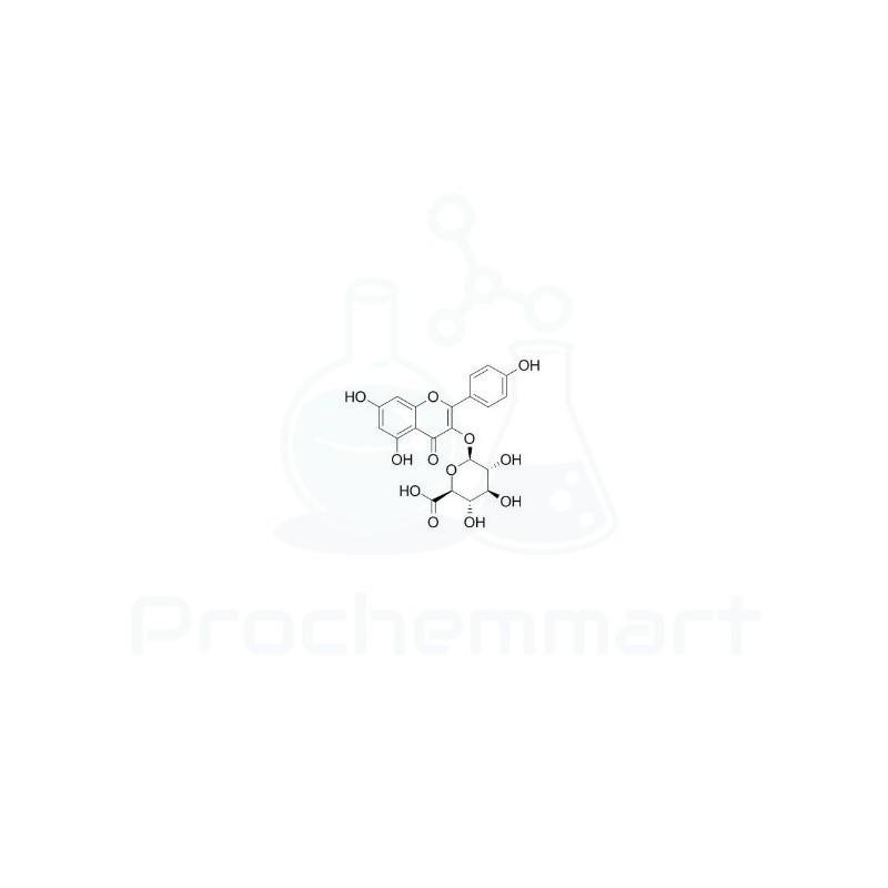 Kaempferol-3-glucuronide | CAS 22688-78-4