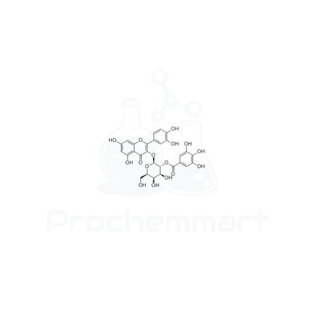 2'-O-Galloylhyperin | CAS 53209-27-1