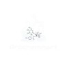 Oxypaeoniflorin | CAS 39011-91-1