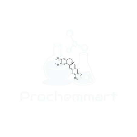Pseudopalmatine | CAS 19716-66-6