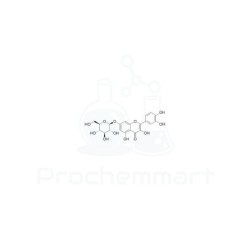 Quercetin-7-O-β-D-glucopyranoside | CAS 491-50-9