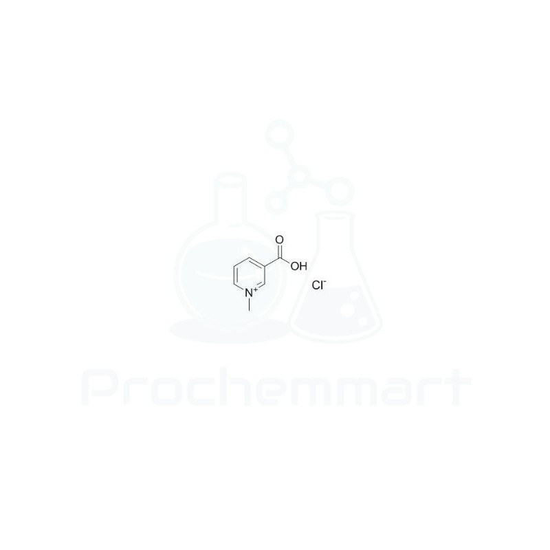 Trigonelline Hydrochloride | CAS 6138-41-6