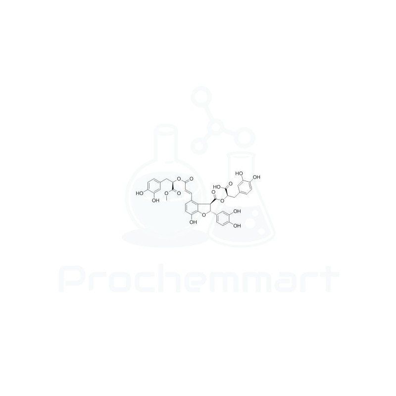 9'-Methyllithospermate B | CAS 1167424-31-8