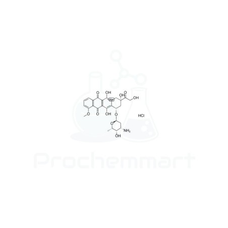 Doxorubicin HCl | CAS 25316-40-9