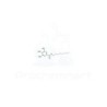 Octyl Gallate | CAS 1034-01-1