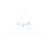 (E)-N-Caffeoylputrescine | CAS 29554-26-5