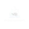 1-Hydroxy-2,3,4,7-tetramethoxyxanthone | CAS 14103-09-4