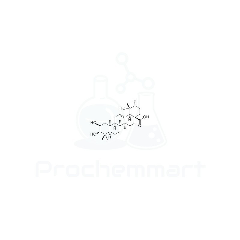 2-Epitormentic acid | CAS 119725-19-8