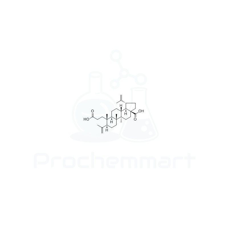 3,4-Secolupa-4(23),20(29)-diene-3,28-dioic acid | CAS 36138-41-7