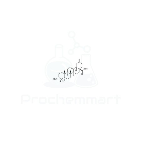 3alpha-Akebonoic acid | CAS 104777-61-9