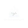 3-Cyclopropylmethoxy-4-difluoromethoxybenzoic acid | CAS 162401-62-9