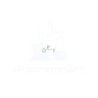 3-Methylamino-1-(2-thienyl)-1-propanol | CAS 116539-55-0
