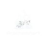 Alisol B 23-acetate | CAS 26575-95-1