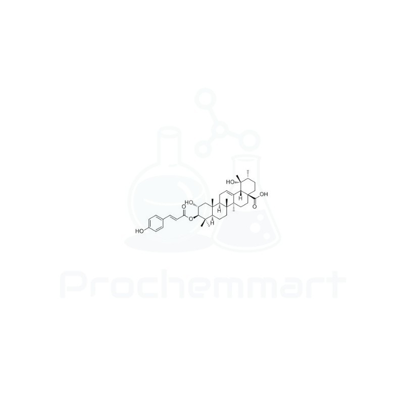 3-O-trans-p-Coumaroyltormentic acid | CAS 121064-78-6