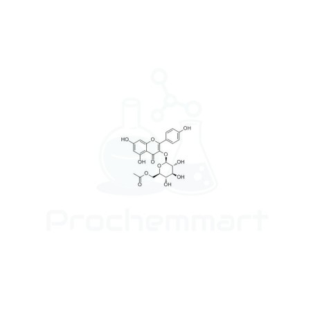 6''-O-Acetylastragalin | CAS 118169-27-0