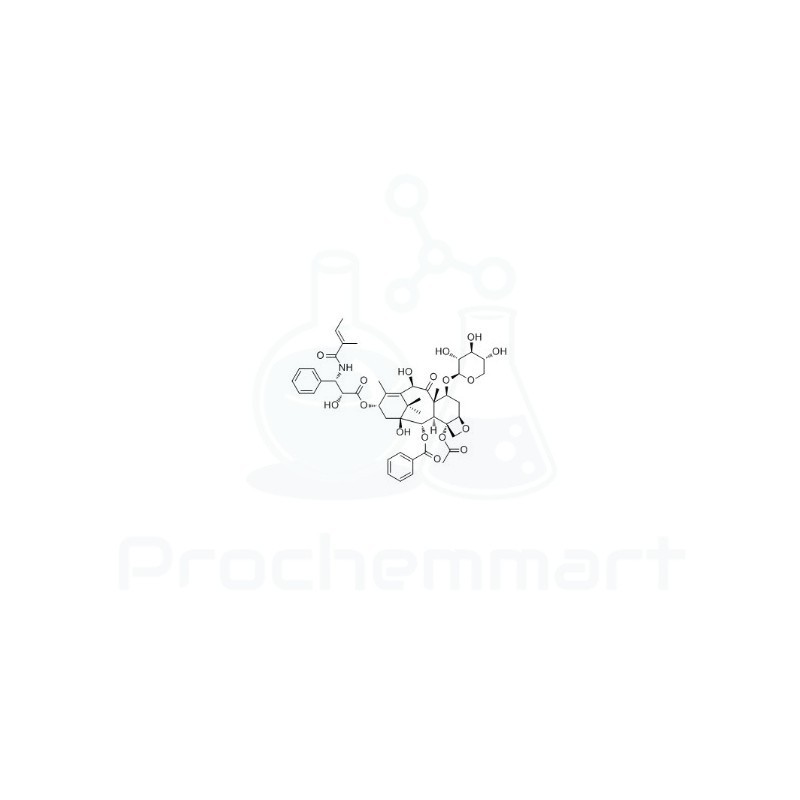 7-Xylosyl-10-deacetyltaxol B | CAS 90332-64-2