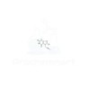 8-Bromo-7-(but-2-yn-1-yl)-3-methyl-1H-purine-2,6(3H,7H)-dione | CAS 666816-98-4