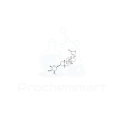 8-Hydroxyodoroside A | CAS 176519-75-8