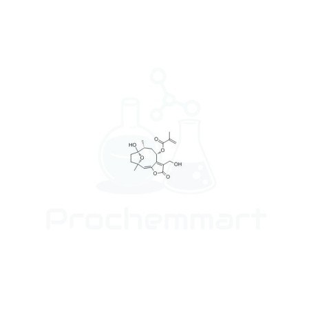8α-(2-Methylacryloyloxy)hirsutinolide | CAS 188293-70-1