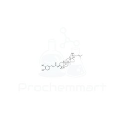 Dammarenediol II 3-O-caffeate | CAS 171438-55-4