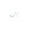 Dehydropachymic acid | CAS 77012-31-8