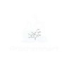 Di-O-methylbergenin | CAS 33815-57-5