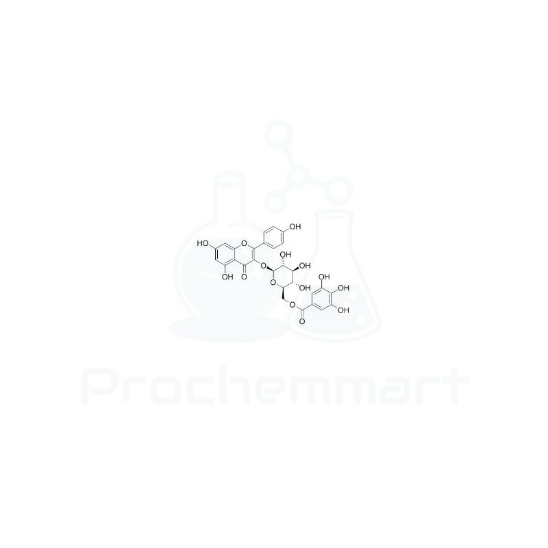 Kaempferol 3-O-(6''-galloyl)-beta-D-glucopyranoside | CAS 56317-05-6