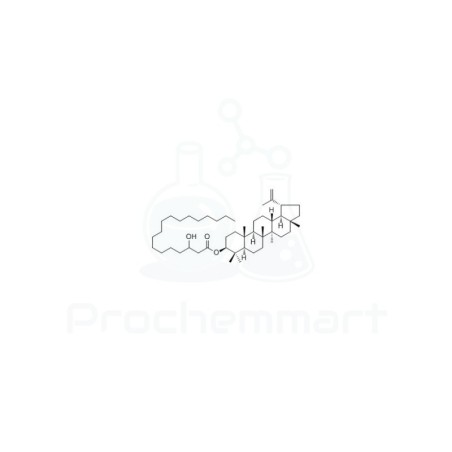 Lupeol 3-hydroxyoctadecanoate | CAS 108885-61-6