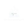 Methyl 3-methoxyacrylate | CAS 34846-90-7