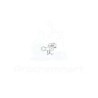 Methyl demethoxycarbonylchanofruticosinate | CAS 80151-89-9