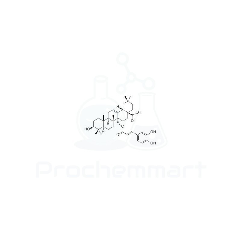 Myriceric acid B | CAS 55497-79-5