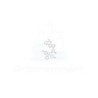 N6-Benzoyl-5'-O-(4,4'-dimethoxytrityl)-2'-deoxyadenosine | CAS 64325-78-6