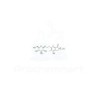Onitisin 2'-O-glucoside | CAS 62043-53-2