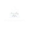 Pentoxyverine citrate | CAS 23142-01-0