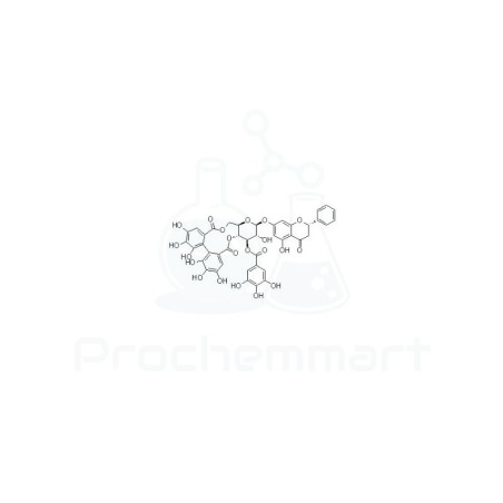 Pinocembrin 7-O-(3"-galloyl-4",6"-(S)-hexahydroxydiphenoyl)-β-D-glucose | CAS 205370-59-8