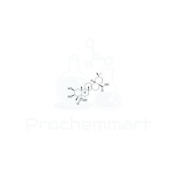 Polygalic Acid | CAS 1260-04-4