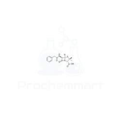 Potassium benzylpenicillin | CAS 113-98-4