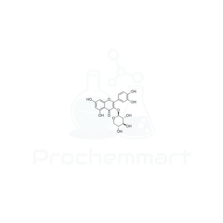Quercetin 3-O-β-D-xylopyranoside | CAS 549-32-6