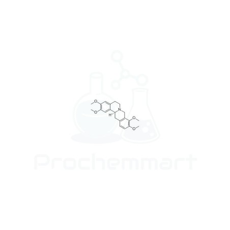 Tetrahydropalmatine | CAS 483-14-7