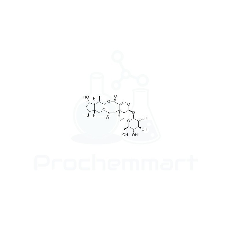 Nudifloside C | CAS 297740-99-9