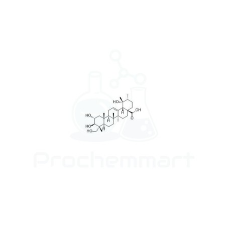 23-Hydroxytormentic acid | CAS 70868-78-9
