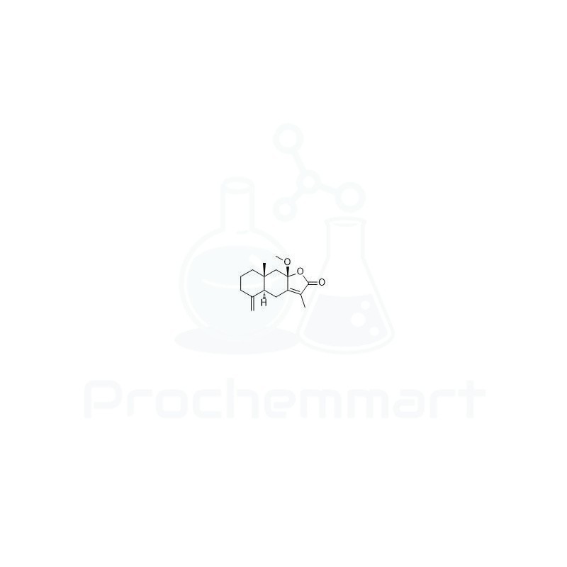 8beta-Methoxyatractylenolide I | CAS 193694-24-5