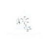 Borneol 7-O-[beta-D-apiofuranosyl-(1-6)]-beta-D-glucopyranoside | CAS 88700-35-0