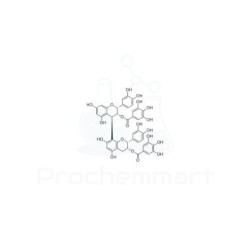 Procyanidin B2 3,3'-di-O-gallate | CAS 79907-44-1
