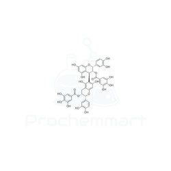 Procyanidin B-5 3,3'-di-O-gallate | CAS 106533-60-2