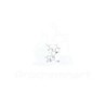 12-O-Tiglylphorbol-13 -isobutyrate | CAS 92214-54-5