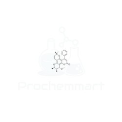 12-O-Methylinophyllum D | CAS 40883-10-1