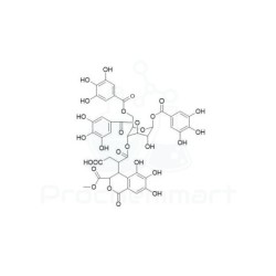 Methyl neochebulinate | CAS 1236310-34-1